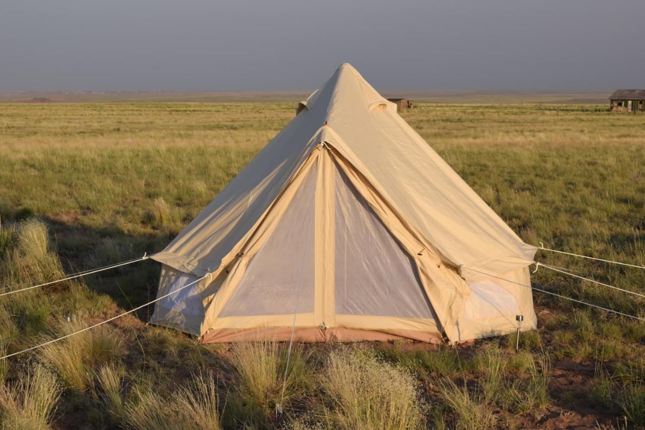 הולברוק Starlight Tent 3 מראה חיצוני תמונה