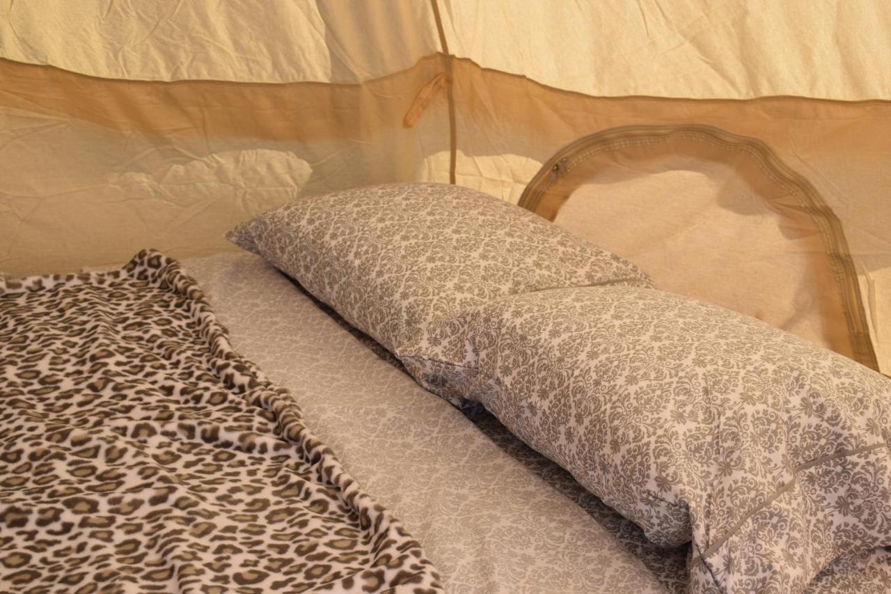 הולברוק Starlight Tent 3 מראה חיצוני תמונה